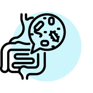 Pancreas Diseases and Cancers